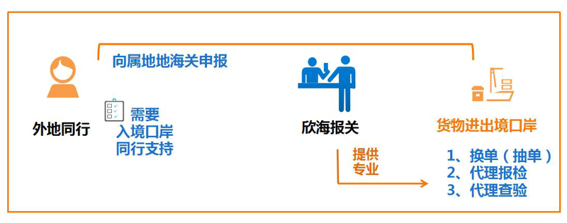 外贸出口代理行业的动态变化